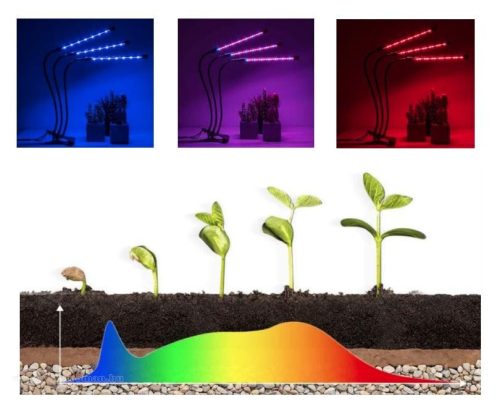 Növény nevelő LED lámpa Piros - kék 4XG100