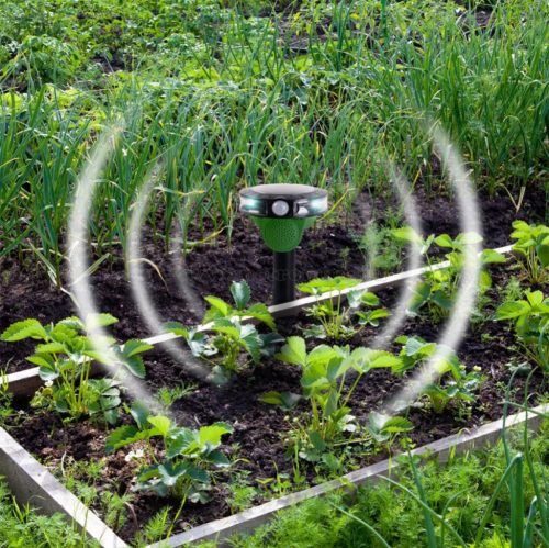 Napelemes elektromos Galamb Seregély Madár riasztó Gardigo M091 Solar