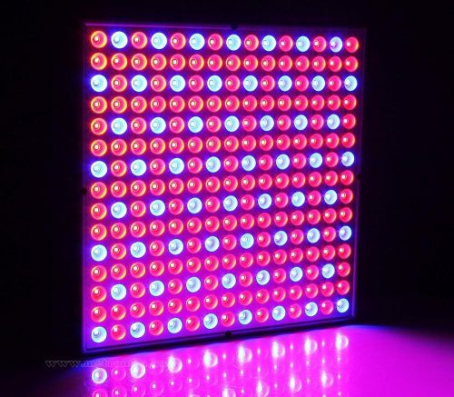 Növény nevelő piros-kék LED lámpa 225 LED-del M16347