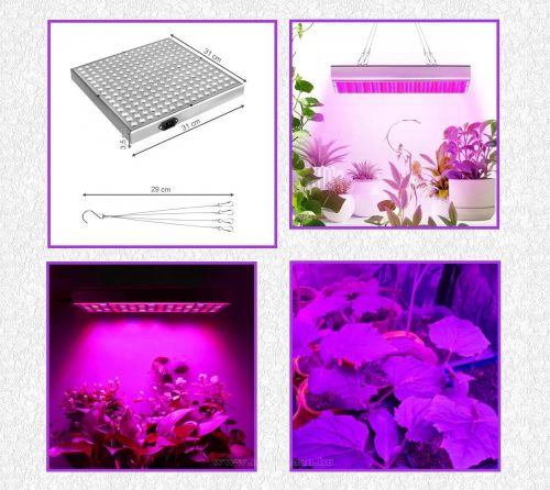 Növény nevelő piros-kék LED lámpa 225 LED-del M16347