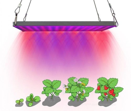Növény nevelő piros-kék LED lámpa 225 LED-del M16347