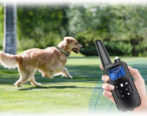 Távirányítós elektromos kutya nyakörv M880WP-B