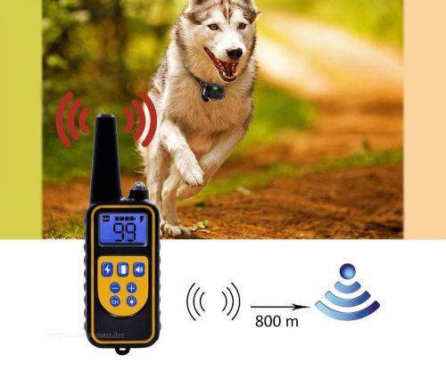 Távirányítós elektromos kutya nyakörv M880WP