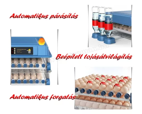 Automata baromfi keltető gép MDA431B
