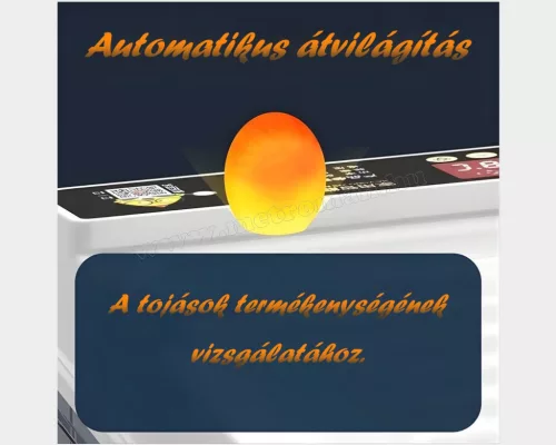 Automata baromfi keltető gép MA431D