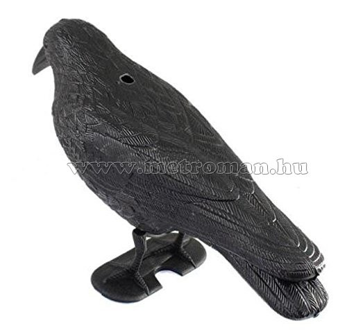 Galamb, Madár riasztó holló M0470