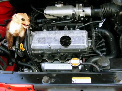 Ultrahangos , autós nyestriasztó  , Kemo M180N