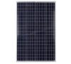 Napelem Poly Solar MPV-POLY-100W