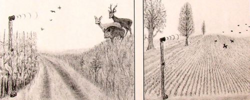 Nagyteljesítményű elektromos vadriasztó