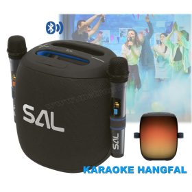   Hordozható karaoke hangfal Party Box mikrofonnal 5 hangszóróval PARCUBE