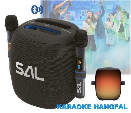 Hordozható karaoke hangfal Party Box mikrofonnal 5 hangszóróval PARCUBE