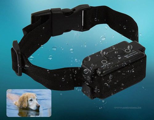 Láthatatlan elektromos kerítés kutyáknak W227