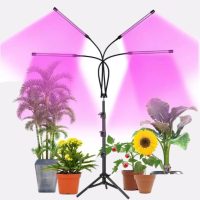 Növény nevelő lámpák