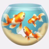 Akvárium felszerelés