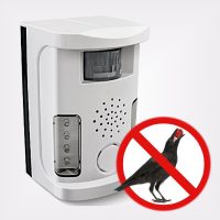 Galamb, Seregély, Madár riasztó