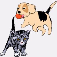 Kutya Macska felszerelés