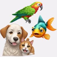 Kutya Macska Kisállat felszerelés